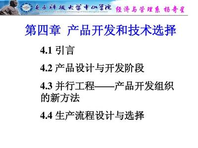 產(chǎn)品開(kāi)發(fā)與技術(shù)選擇 技術(shù)開(kāi)發(fā)的策略與實(shí)踐